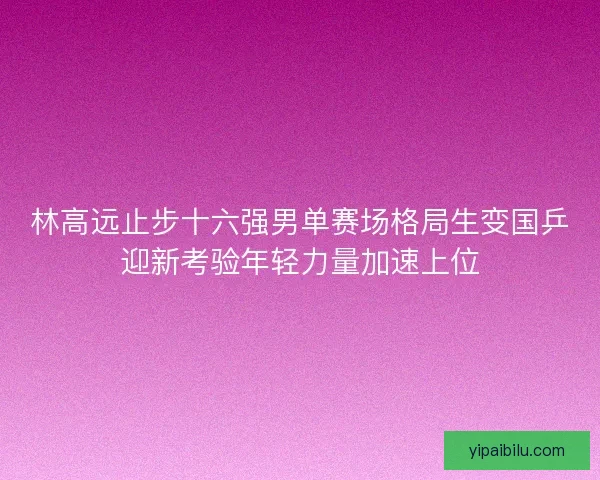 林高远止步十六强男单赛场格局生变国乒迎新考验年轻力量加速上位