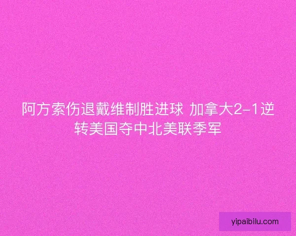 阿方索伤退戴维制胜进球 加拿大2-1逆转美国夺中北美联季军 阿方索伤退戴维制胜进球 加拿大2-1逆转美国夺中北美联季军