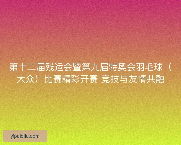 第十二届残运会暨第九届特奥会羽毛球（大众）比赛精彩开赛 竞技与友情共融